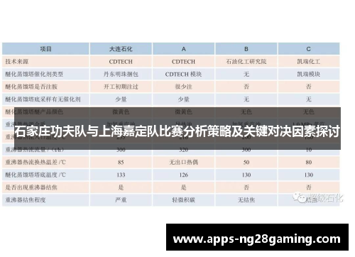 石家庄功夫队与上海嘉定队比赛分析策略及关键对决因素探讨