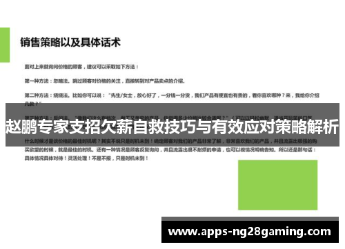 赵鹏专家支招欠薪自救技巧与有效应对策略解析