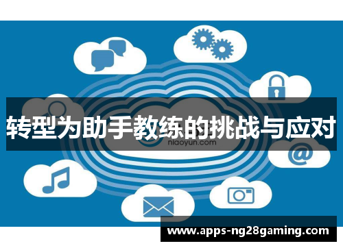 转型为助手教练的挑战与应对