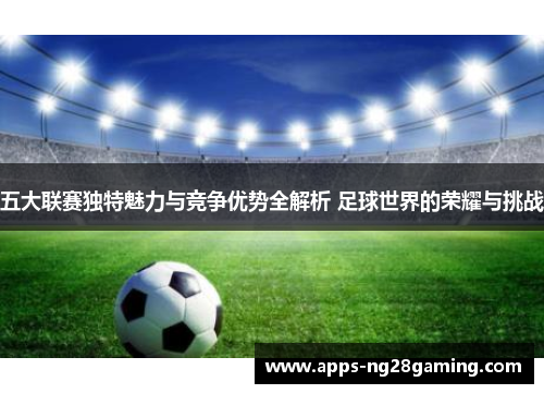 五大联赛独特魅力与竞争优势全解析 足球世界的荣耀与挑战 五大联赛独特魅力与竞争优势全解析 足球世界的荣耀与挑战