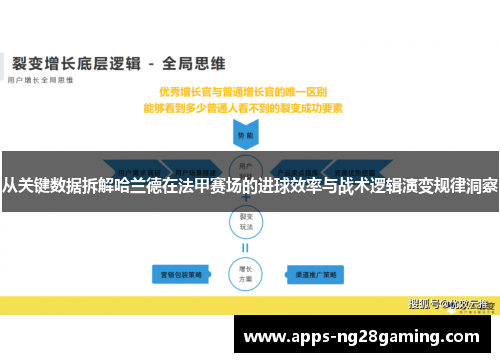 从关键数据拆解哈兰德在法甲赛场的进球效率与战术逻辑演变规律洞察