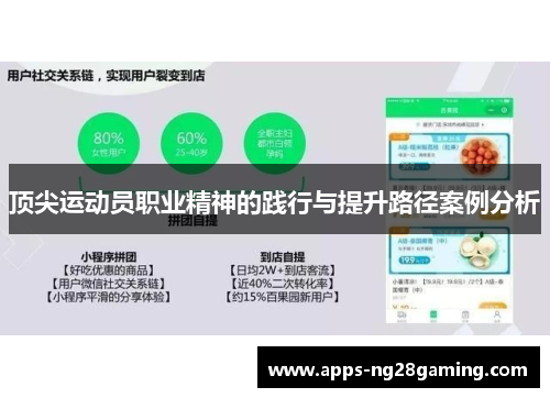 顶尖运动员职业精神的践行与提升路径案例分析